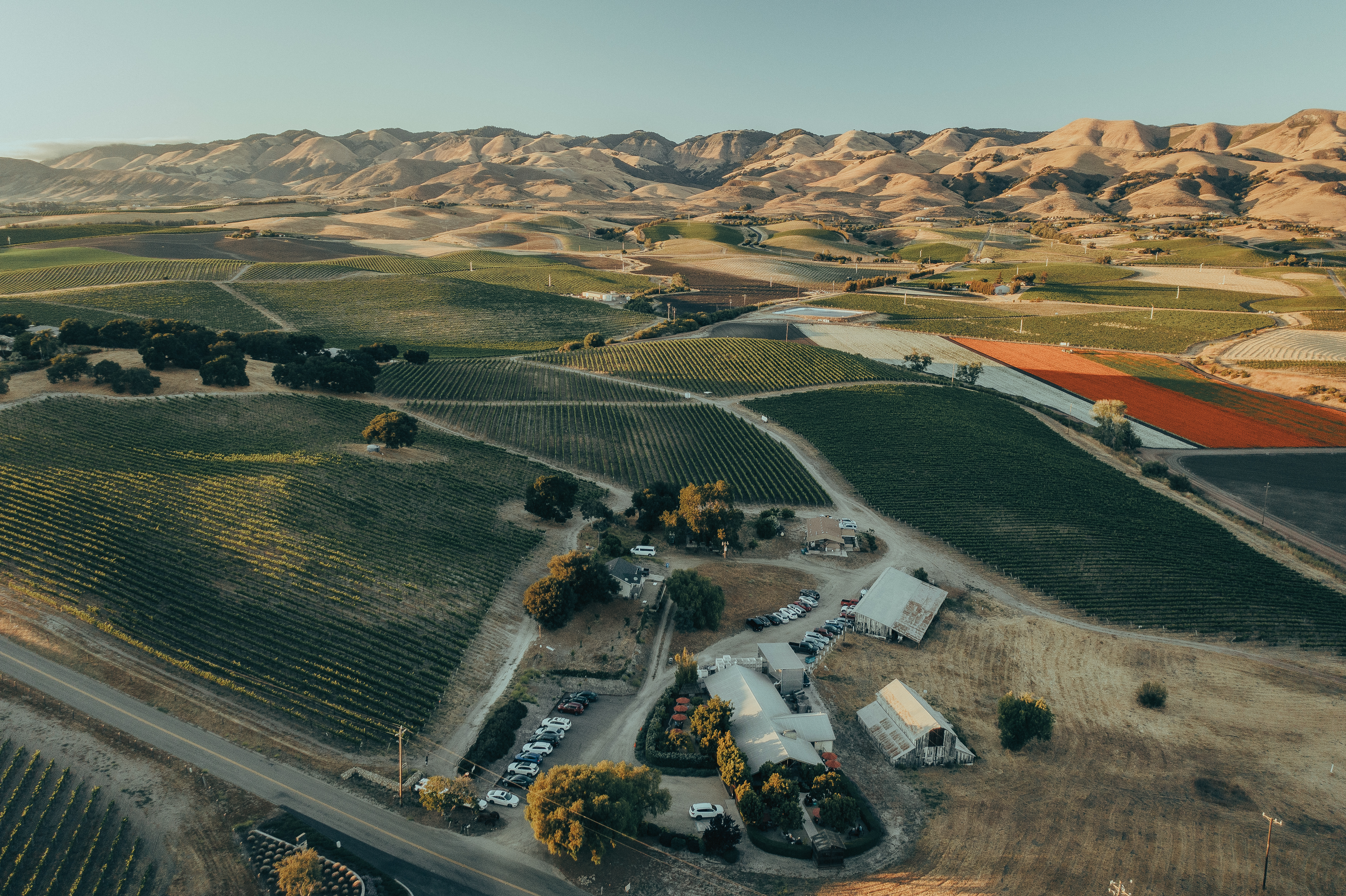 Kynsi Winery
